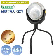 【52％引き】 人感センサーライト 屋外 防犯ライト 乾電池式 LEDセンサーライト ムサシ RITEX LEDどこで…