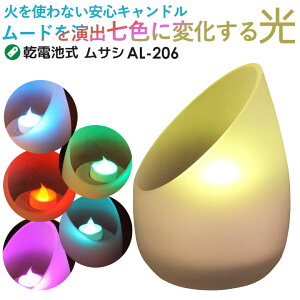 yBLACK FRIDAY|Cg5{ivGg[jzyCg ledzyTVzLEDLhCgiOf[VJ[j(AL-206) CeA ԐڏƖ Q 