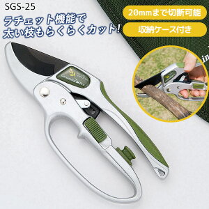 y11/16 23:59܂ Gg[Ń|Cg5{zyp[AbviSGS-25jz K[fjO  ΂ | |pi K[fjOpi } nT~ pY