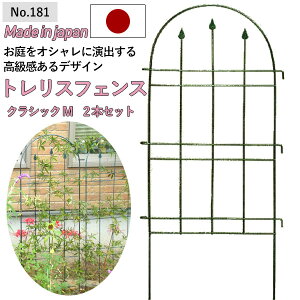 ygXtFXNVbNM 2P No.181z GREENGARDEN K[ftFX ACAtFX A K[fjOpi |pi 뉀 n _   K[ft@j`[ ы O