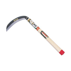  L{V ʐ 150mm t K[fjO | _ _ H   L{V