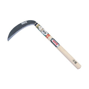 �y���������}���\�����G���g���[�Ń|�C���g5�{�z���� �L���{�V�iA�j���� 150mm ���t �K�[�f�j���O ���| �_�� �_�� �H�� ���� ���� �L���{�V
