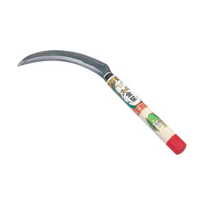 yBLACK FRIDAY|Cg5{ivGg[jz L{V V^ K[fjO | _ _ H   L{V