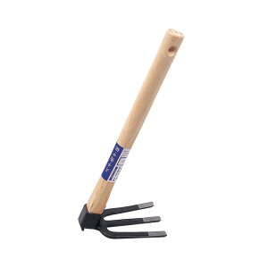 y11/16 23:59܂ Gg[Ń|Cg5{z ЎL K[fjO | _ _ H   L{V