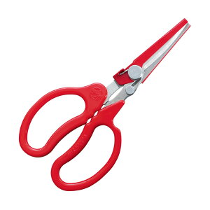 yGg[1ő100%|CgobNzL \ JbgLb` K[fjO | _ _ H   L{V