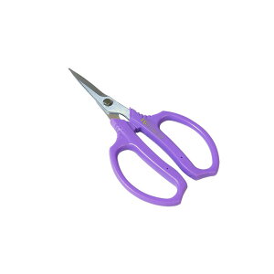 t[ \p FG120-P 󍁍H K[fjOpi |pi _ _ ƒ؉ H yH DIY  K[f 