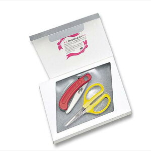 AX GF2 Mtg2_ IK-10R+330H F`CX AXR[|[V 