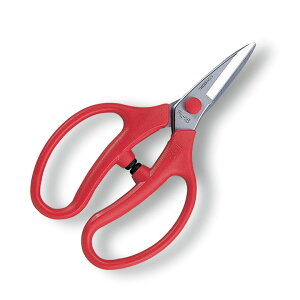 y[ցzFL-16-BP to AXR[|[V 