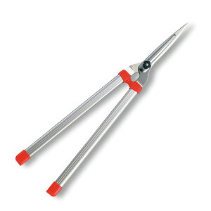 y}\IGg[Ń|Cg5{zK-900 yʊ O[ AXR[|[V 