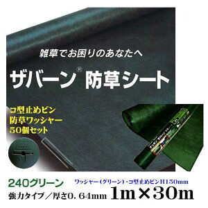 yf|А hV[gzUo[ 240 O[ ̓^Cv 1M×30M 0.64mm R^~H150sEhbV[50Zbgf|АV[gɎgsEbV[t G΍ h