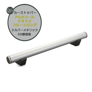 Ԏ~ J[Xgbp[ AfR[ C800 t[gO Vo[^bNi5hjF {1{̂݌ˌ Vz tH[ |[ Ԏ~߃|[ ^C~߃Xgbp[ ԏ ^C