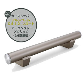 車止め カーストッパー アルデコール C610 フルート アーバングレーメタリック(5分艶塗装) 本体1本のみ戸建て 新築 リフォーム ポール 車止めポール タイヤ止めストッパー 駐車場 タイヤ止め おしゃれ オシャレ オンリーワン【送料無料】