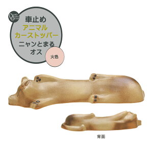 Ԏ~ Aj} J[Xgbp[ jƂ܂ IX ΐF {1̂̂݌ˌ Vz tH[ Aj}  킢 ^C~߃Xgbp[ ԃubN ^C~  IV I