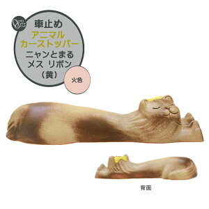 Ԏ~ Aj} J[Xgbp[ jƂ܂ X {() ΐF {1̂̂݌ˌ Vz tH[ Aj}  킢 ^C~߃Xgbp[ ԃubN ^C~  