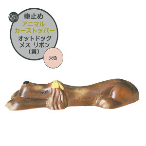Ԏ~ Aj} J[Xgbp[ IbghbO X {() ΐF {1̂̂݌ˌ Vz tH[ Aj}  킢 ^C~߃Xgbp[ ԃubN ^C~  