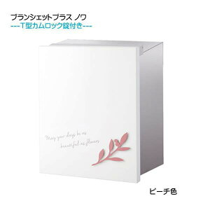 【埋込 ポスト】ブランシェットプラス ノワ T型カムロック付き 上入れ後取り出し ピーチ色 壁面埋込タイプ新築 リフォーム 埋込 郵便ポスト 郵便受け 新聞受け 箱型 レターボックス ぽすと