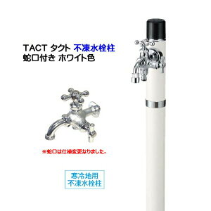 ys 𒌁zTACT ^Ng 100 𒌁{֌i21jndl zCgFVz tH[  GgX  s ֌t  X^CbV g[