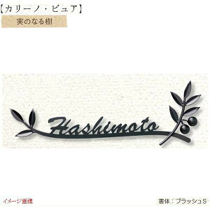 y[gXeX\DzJ[msA ̂Ȃ KRP|21ˌ XeX\D l[v[g XeXTC ZNtg ߂₷iŁIyz