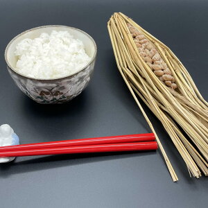 OR[ [ AX[g J Y  ^pNLx h{Lx Hc y VRR shoyo011