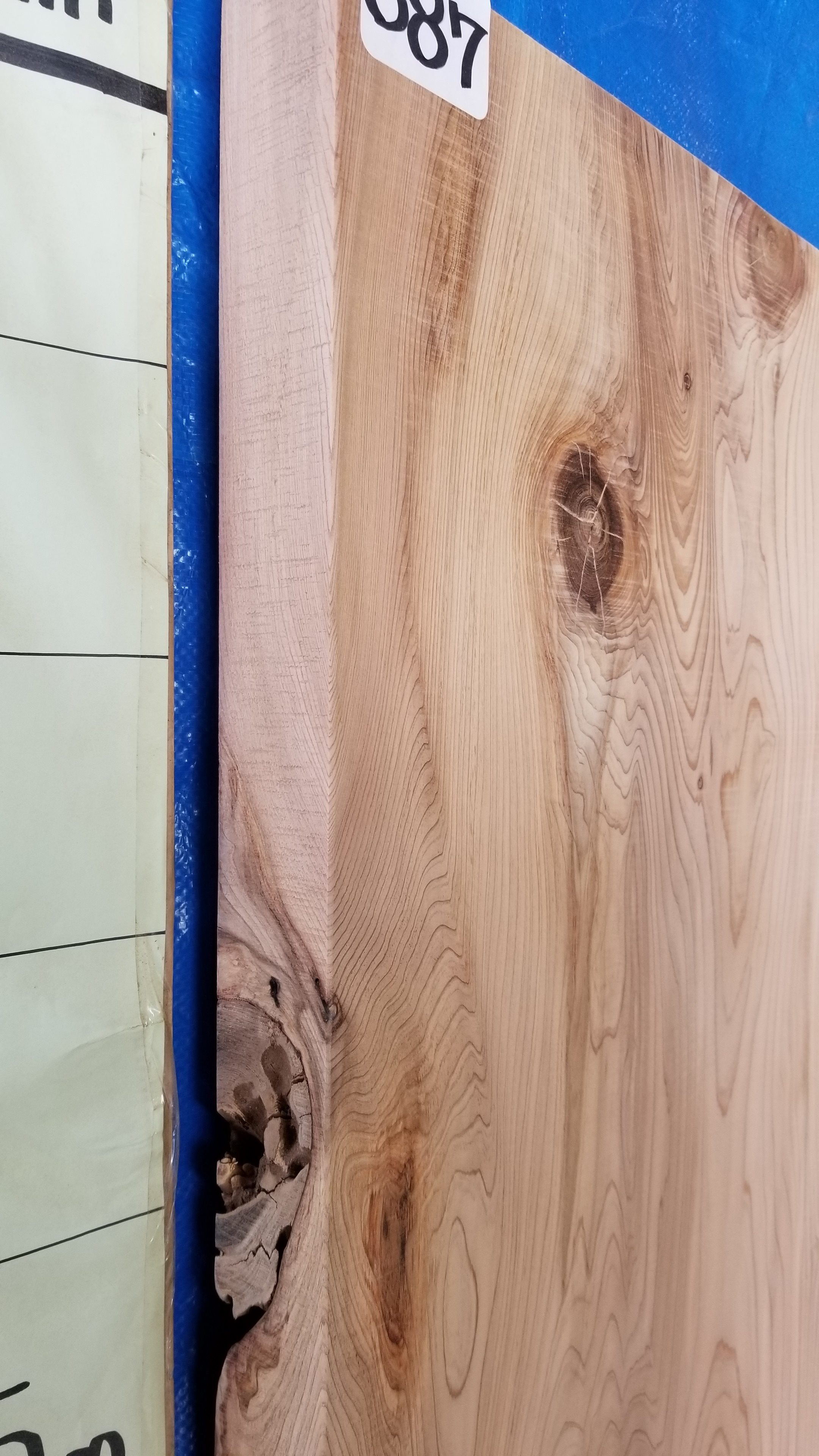 楽天市場】天然杉 無垢材 天板 一枚板 厚6.5～7.0cm×巾71～70cm×長