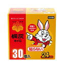 カイロ 桐灰 ニューハンドウォーマー レギュラーサイズ 30個×8箱