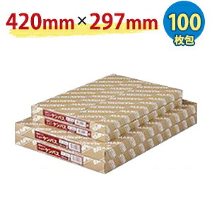 �P���g�� �j���[�P���p�X A503(A3�T�C�Y) 100����