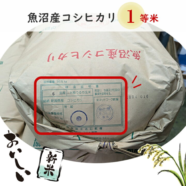 楽天市場】【送料無料】魚沼産 こしひかり コシヒカリ 米 お米 新米 令 
