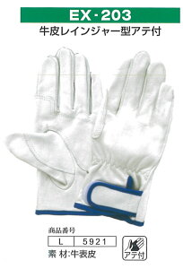 xmO[u Ǝ 5921@EX-203@Li10ojv܁@ Ɨp