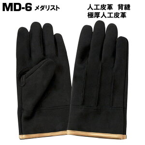 xmO[u MD-6 _Xg10ogbɌlHṽvdlƗp