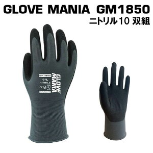 O[u}jA GM1850bw^Cv̍ϋvjgƎ܁i쐼HƁj