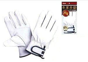 yz쐼HƁyKAWANISHIzƎ// 2279 CW[ Aet@MELELLTCYiVj 10ogZbg