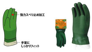 쐼HƁyKAWANISHIzƎ/S 2312 Green Finger j[At@[W[W@SEMELTCYiO[j 10ogZbg