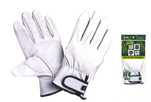 쐼HƁyKAWANISHIzƎ//ؔ 2389 ؃CW[ Aet@MELELLTCYiVj 10ogZbg