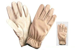 쐼HƁyKAWANISHIzƎ//ؔ 2395 ؃Ci[܁@SEMELELLTCYix[Wj 10ogZbg