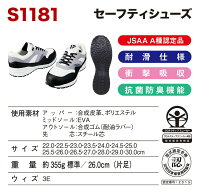 s1181-02