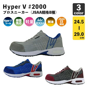 y쑽znCp[V #2000iO[Eu[E`Rj/ ϖSC / c / nCp[V\[ / y / R / ƌCESC