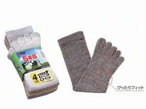 Ag BP-2212-4P 5{wC  4yC Yz × 5g