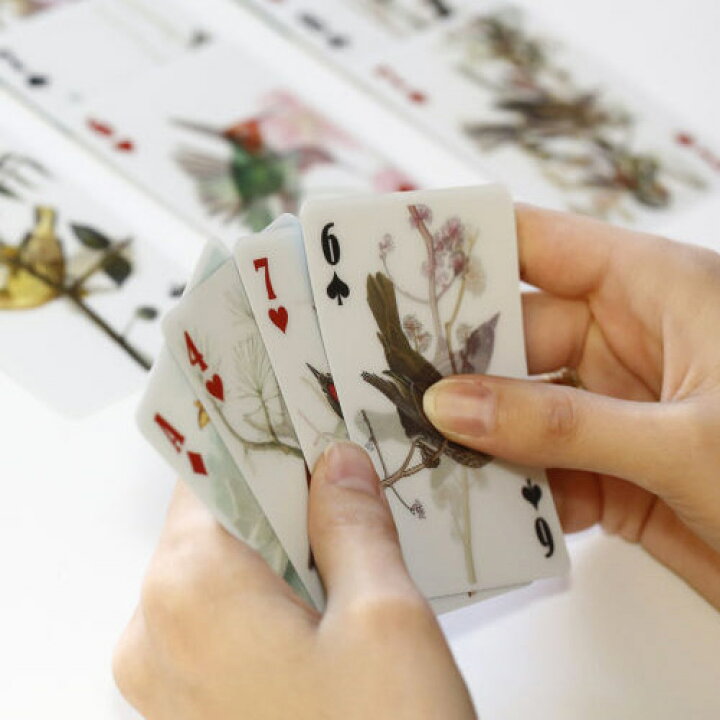 楽天市場 メール便 トランプ カード おしゃれ 鳥 バードウォッチング 3d バードカード Bird Cards Kikkerland キッカーランド トリ アウトドア 好き プレゼント Wakuwaku Wakuwaku