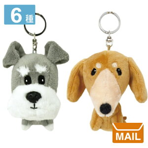 y [ z L[z_[ fB[X 킢  ʂ Ben Lenovitz ViEU[ yNICI/jLzBean Bags  _bNXth rVt[[ |jA nXL[ uEv