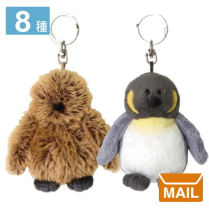 y [ z L[z_[ ʂ I[VtY@LOyM@xr[ }} y NICI / jL zC̐ AUV NQ Jj zzWU V` 10cm v[g 킢