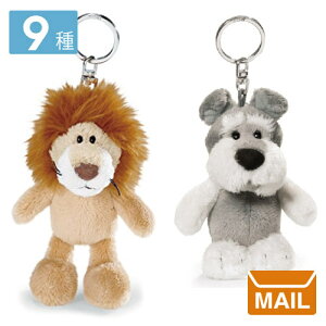 y [ z L[z_[ fB[X 킢  ʂ y NICI / jL zBean Bags hCc r[obO CI ViEU[ uxA ^CK[ L p[h t~S 