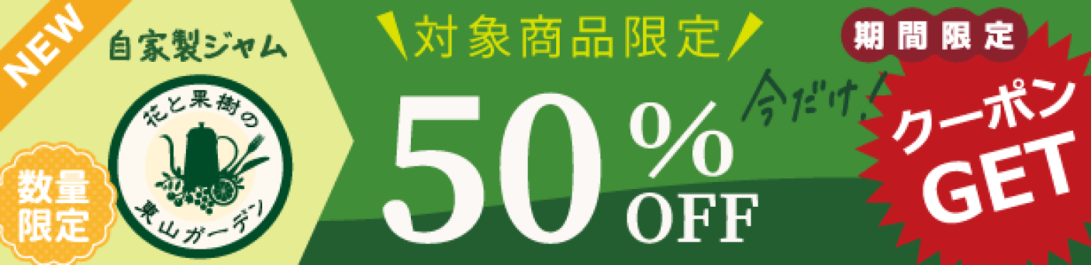 50％OFFクーポン