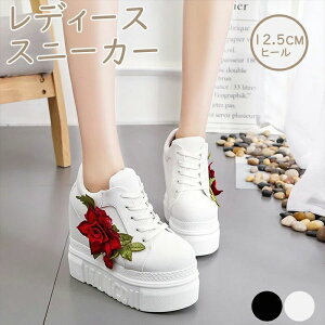 nCJbg C vbgtH[ [XAbvV[Y ₷ 12.5cmq[ ohJ Cq[ fB[XXj[J[