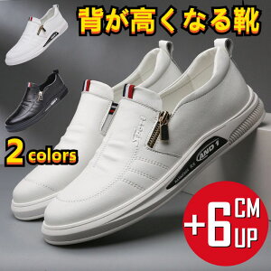 JWA vC U[V[Y rWlXV[Y gAbvV[Y Xb|V[Y YC V[NbgV[Y 6cmUP