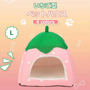 ybgpx 񂱃nEX ybgxbg  ܂肽  p  ^ xbh & nEX ybgnEX xbh  L