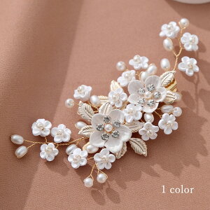  Ǝ l  wAsap p[ a Ǝ l   p[ wANbv 񂴂 