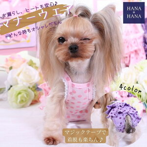  ނJo[ }i[pc hbgt }i[EGA