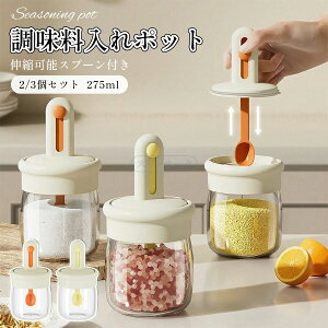 g₷ Ch~ \Xv[t ϔMKXe XpCX{g P[X hr   |bg