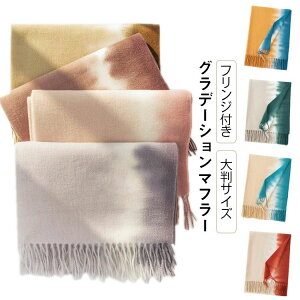  Mtg   fB[X g h ۉ H~ tWt Xg[ 唻 JV~A }t[