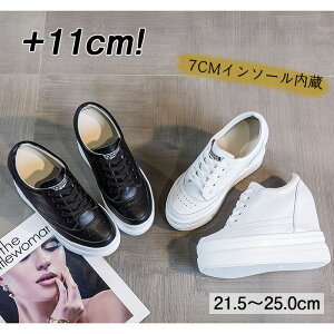 U[ _CGbgXj[J[ C _bhXj[J[ V[NbgV[Y Cq[Xj[J[ fB[X gup 10cm